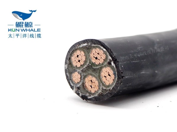 低煙無(wú)鹵電纜應(yīng)用在哪些場(chǎng)所你知道嗎？