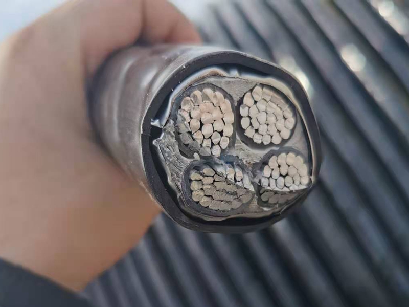 鎧裝電纜價(jià)格比普通電纜的貴憑什么？